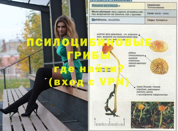 PSILOCYBIN Алексеевка