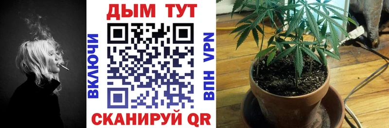 Конопля LSD WEED  blacksprut рабочий сайт  Троицк  где купить наркотик 